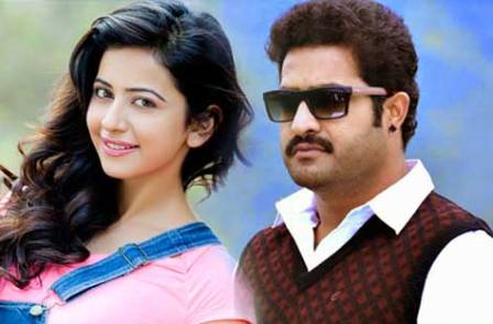 Jr_NTR_Rakul_Preet_new_movie_niharonline