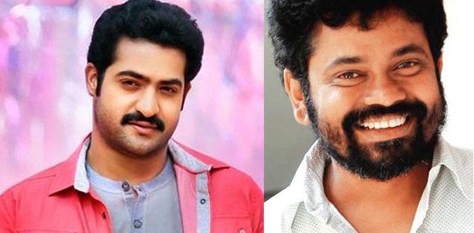 NTR_Sukumar_Movie_start_niharonline