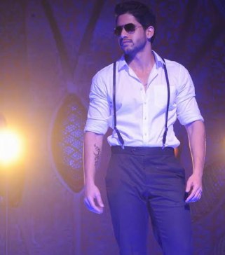 Nagachaitanya_Sudheer-Varma_niharonline