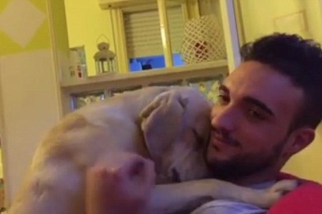 Seeking_forgiveness_dog_then_tries_to_hug_his_owner