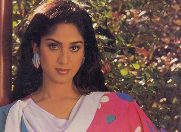 actress_meenakshi_seshadri_niharonline