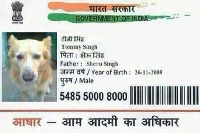 adhaar_card_for_dog_in_madhya_pradesh_niharonline
