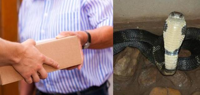 bengalur-husband-snake-parcel-niharonline