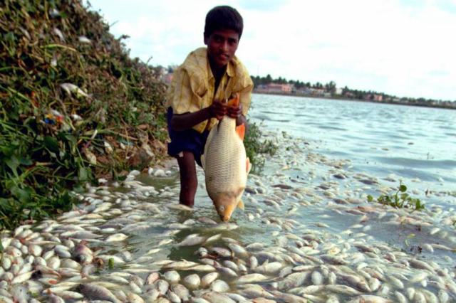 bengaluru-pollution-most-dangerous-level-niharonline