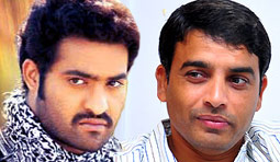 dil_raju_NTR_another_movie_niharonline