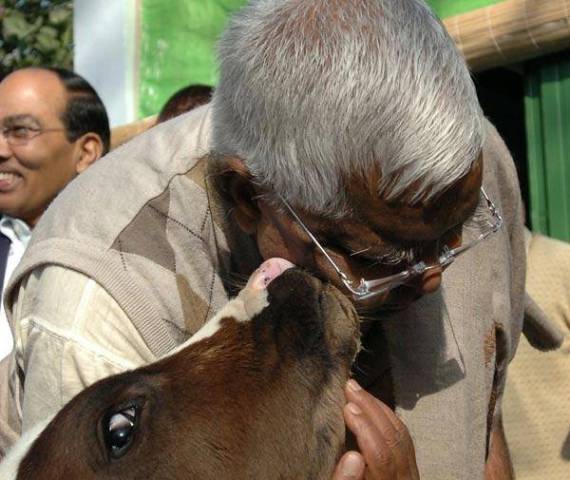 lalu-prasad-comments-on-cow-niharonline