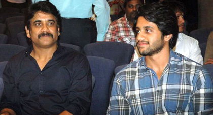 nagarjuna_nagachaitanya_niharonline