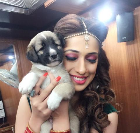 ray-laxmi-sardar-sets-with-pet-niharonline