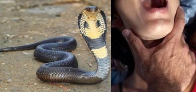 snake-gang-convicted-niharonline